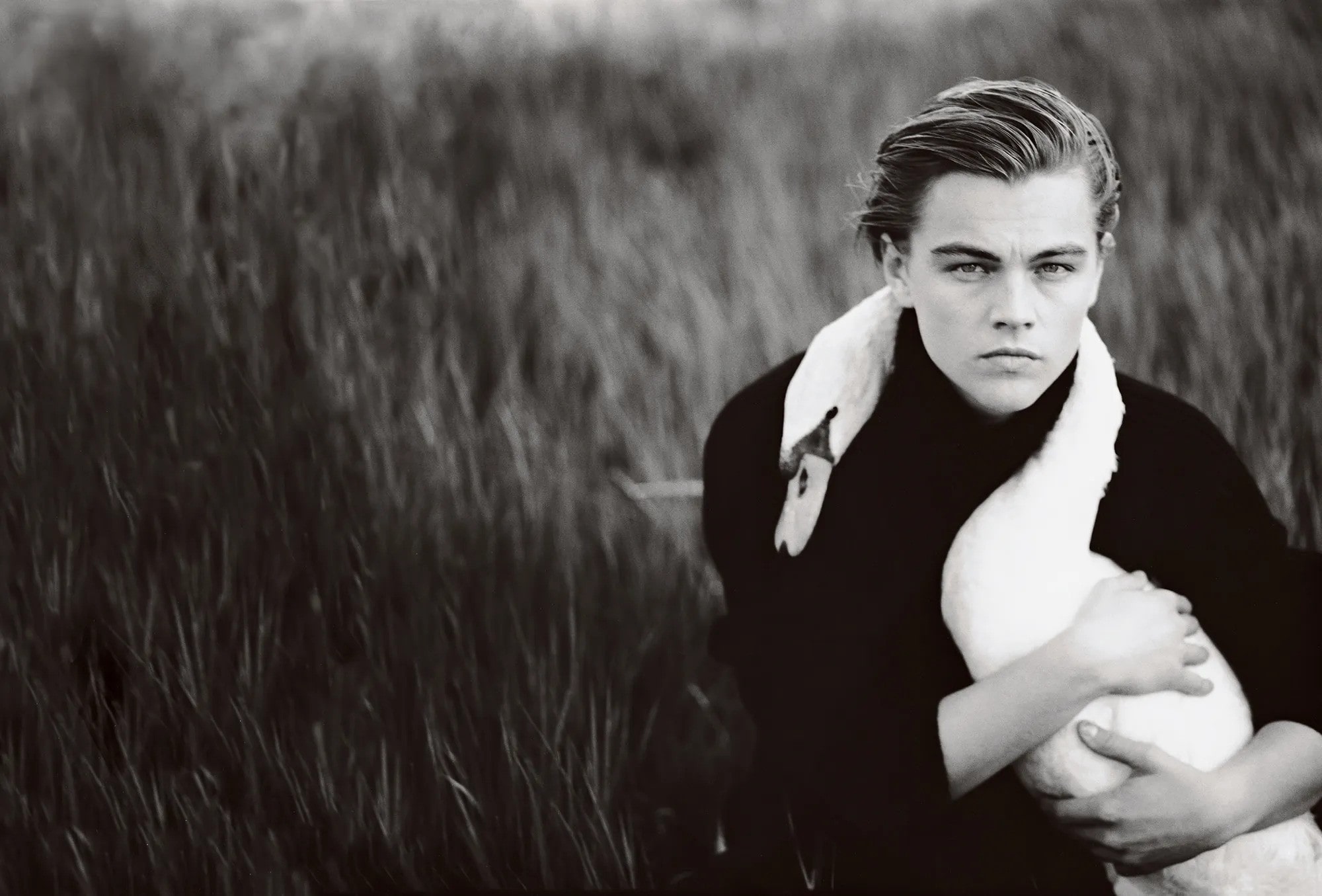 Discover Leonardo Dicaprio