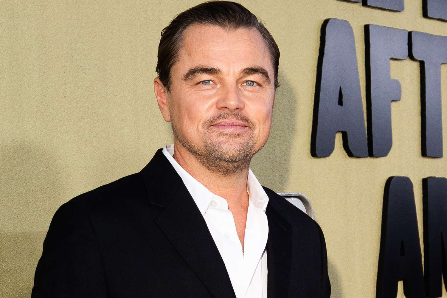 Discover Leonardo Dicaprio