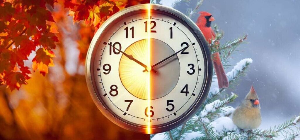 Daylight Saving Time 2025 Guid