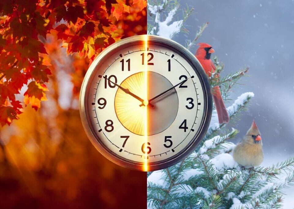 Daylight Saving Time 2025 Guid