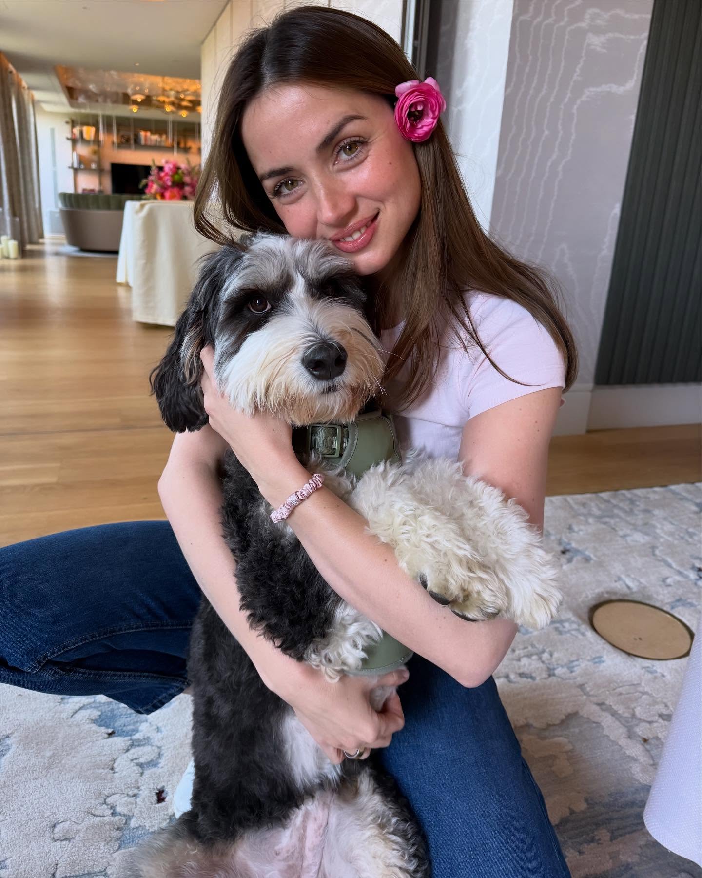 Discover Ana de Armas