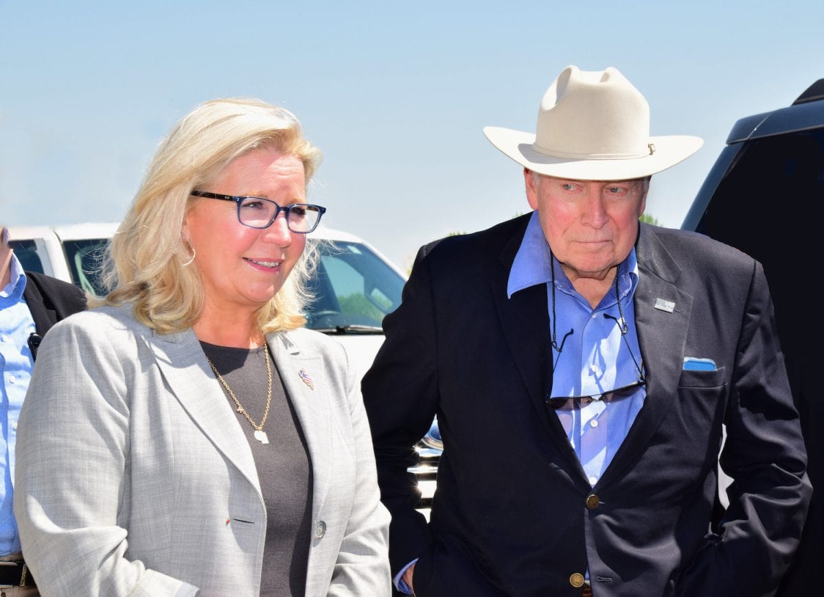 Discover dick cheney