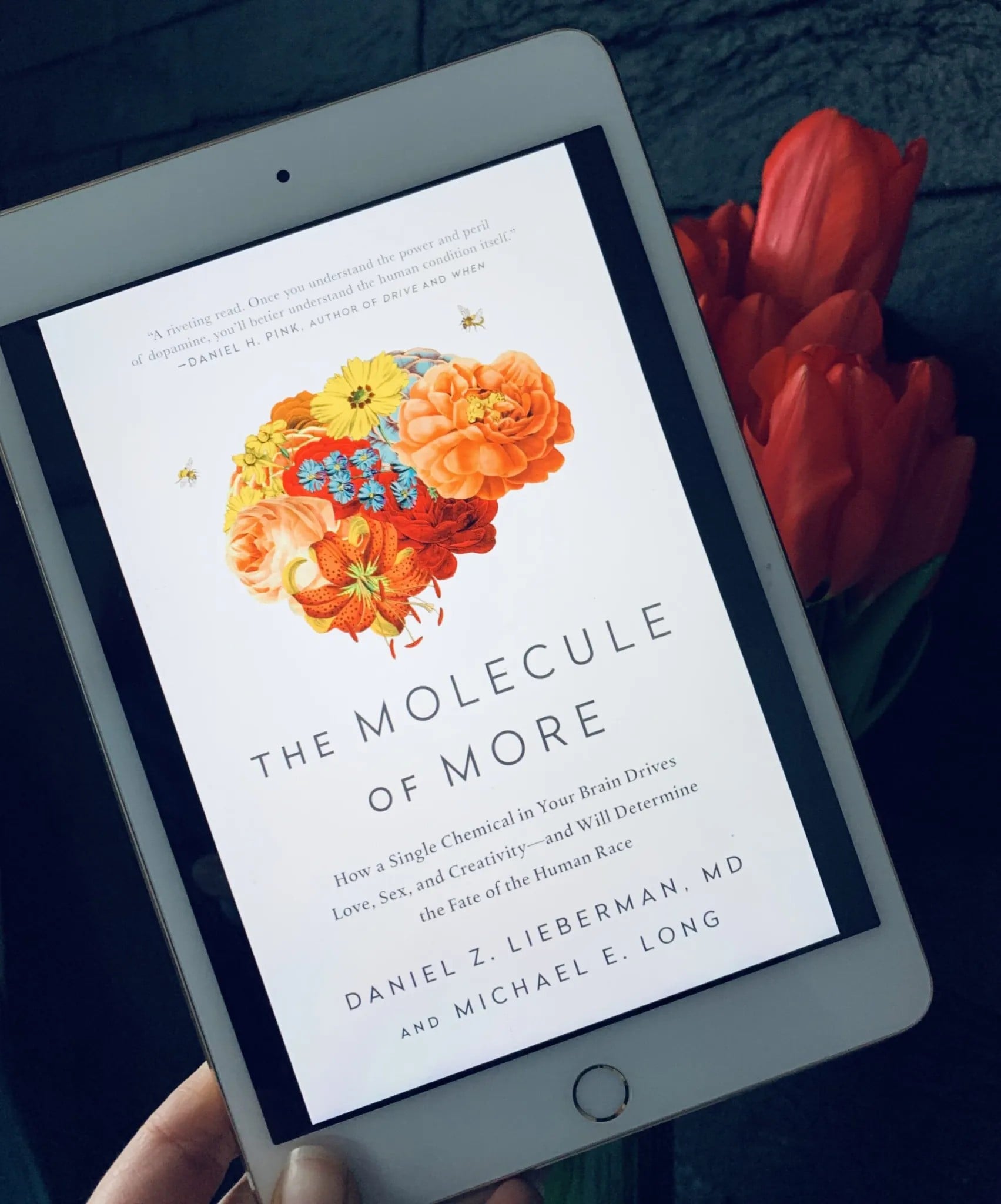 Summary of The Molecule of More